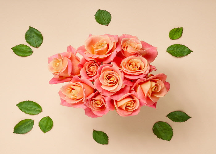 5 Tips For Planting Roses