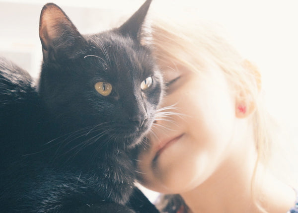 A Basic Introduction to Cat Eye Care